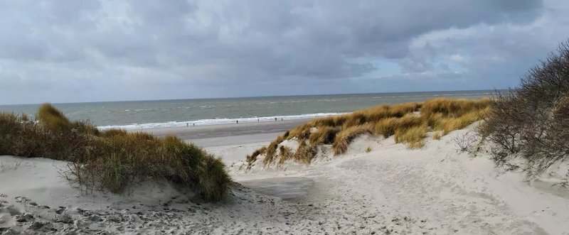 Strandpaviljoen de Schaar
