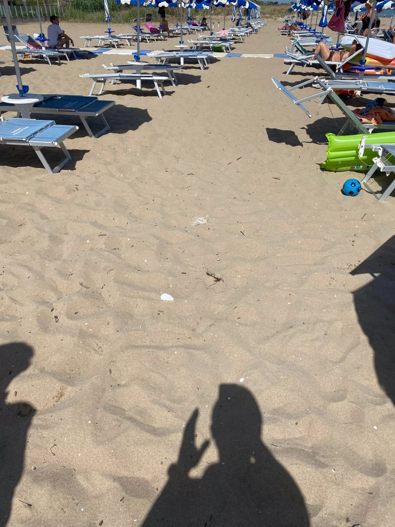 Residence Villaggio le Dune Del Cardo