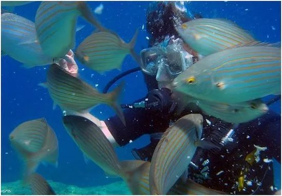 Rodos Diving Center