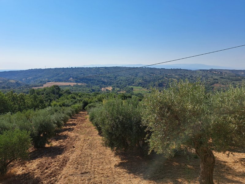 Agriturismo La Madonnina