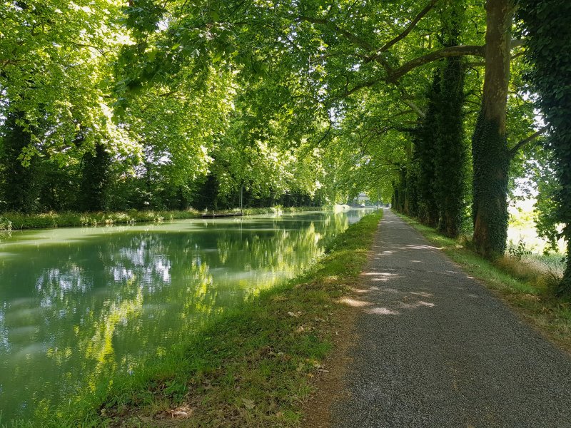 Le Jardin du Controleur