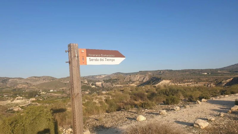 Mirador El Cigarralejo