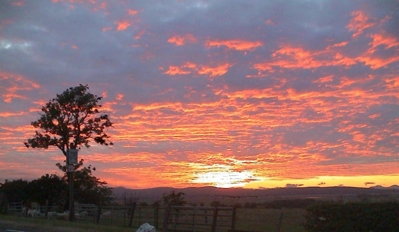 Easter Glentore Farm