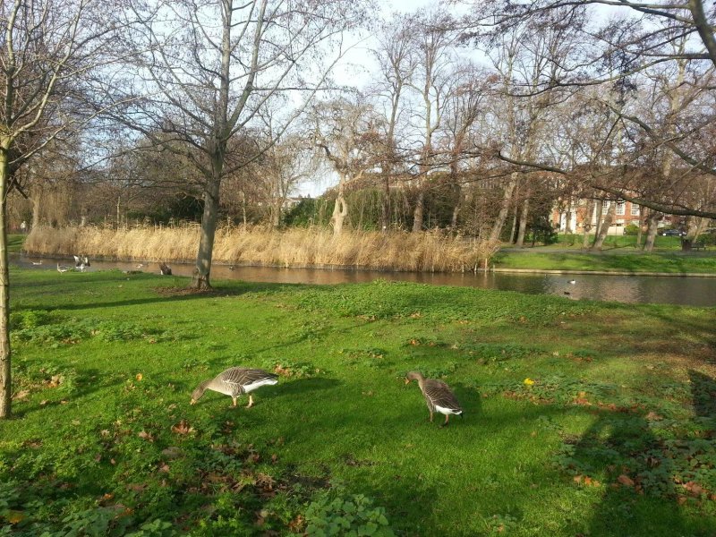 Regent's Park Hotel