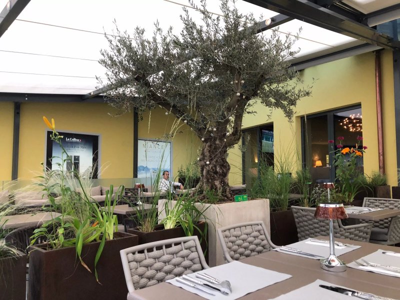 Altenbach Restaurant & Bar