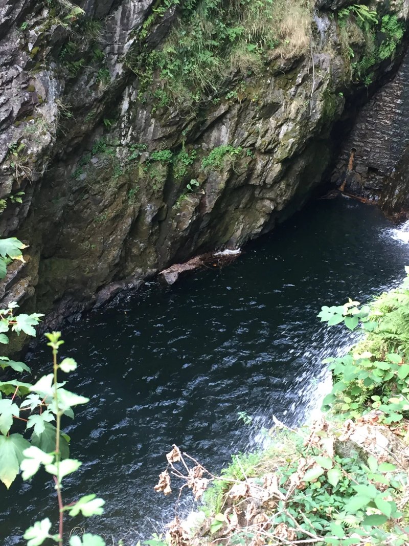 Cascade du Saut de L'Ognon