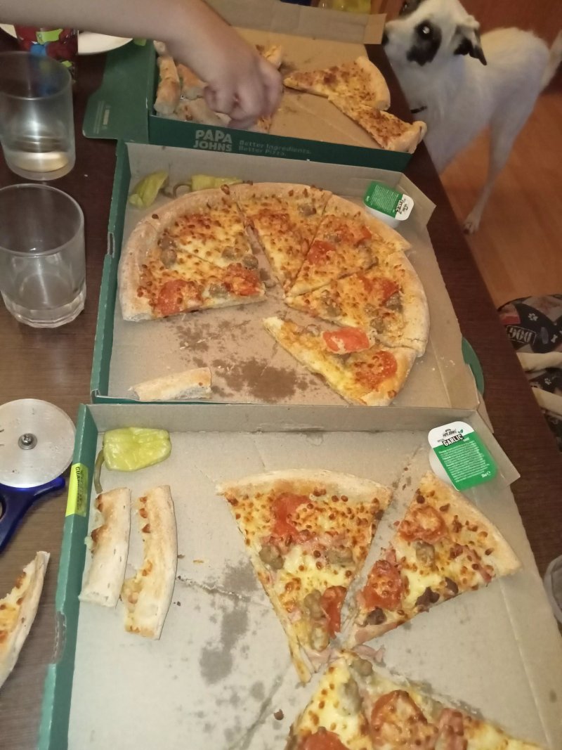 Papa Johns Pizza