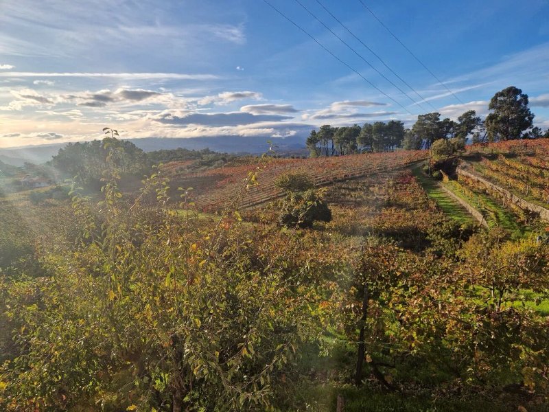 Quinta Da Estrada