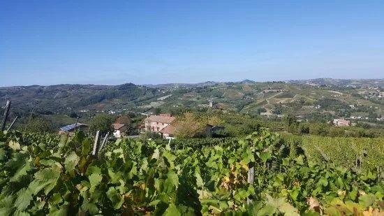 Tenuta Riccardi - Vini dal 1912