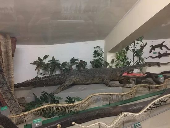 Museo di Storia Naturale Don Bosco