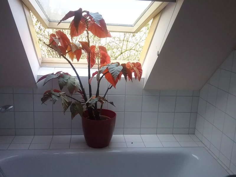 Gaestezimmer Schmidthausen