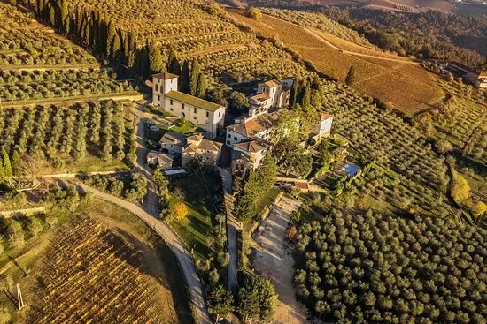 Cinciano Wine Tours