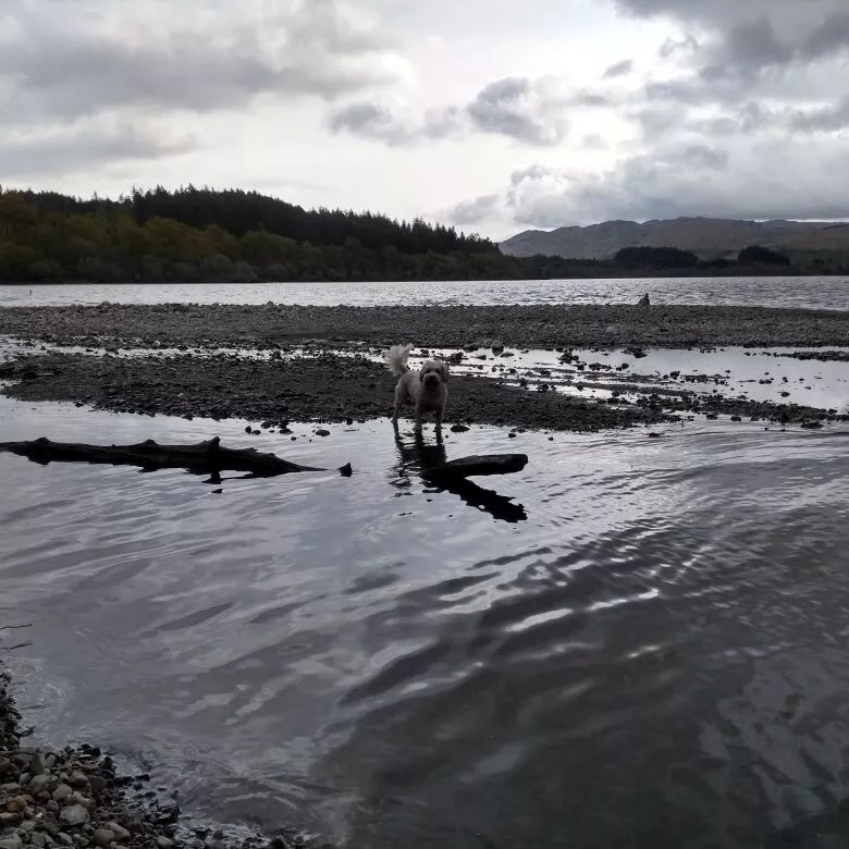 The Cabins, Loch Awe