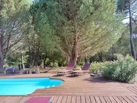 Les Pins Perdus