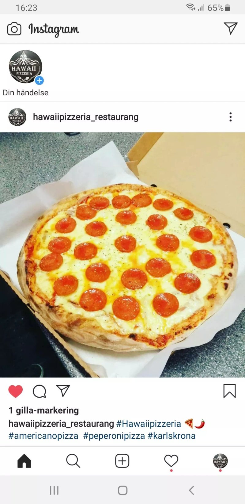 Hawaii Pizzeria & Restaurang