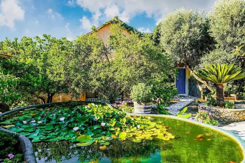 Pretty Holiday Home with Lotus Garden