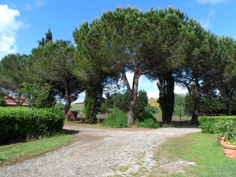 Agriturismo Piana Arborello