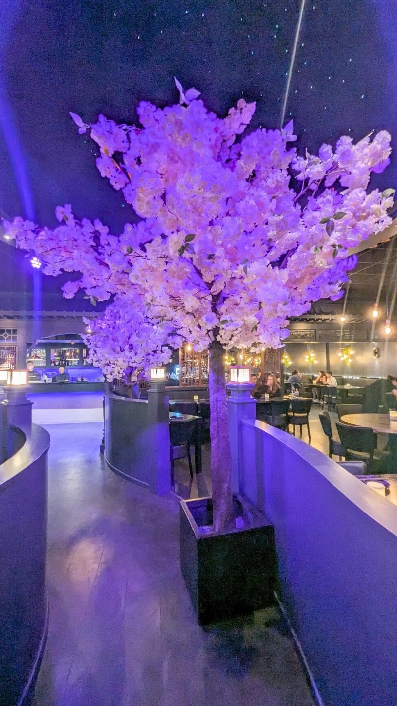 Restaurant Hana