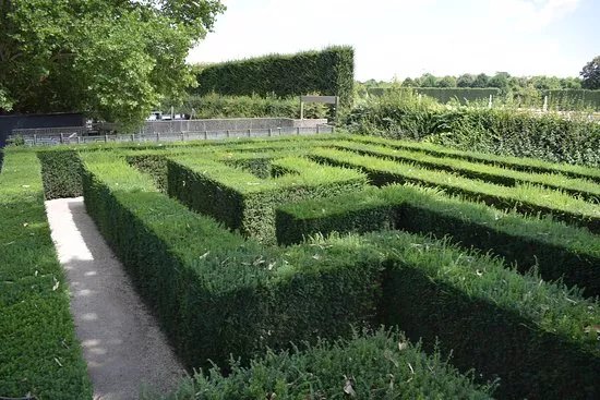Maze & Labyrinth Schonbrunn