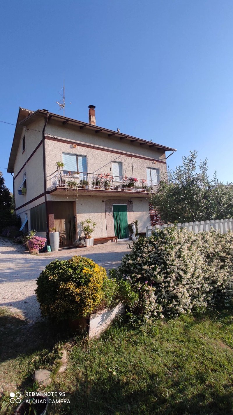 Cluana Azienda Agrituristica