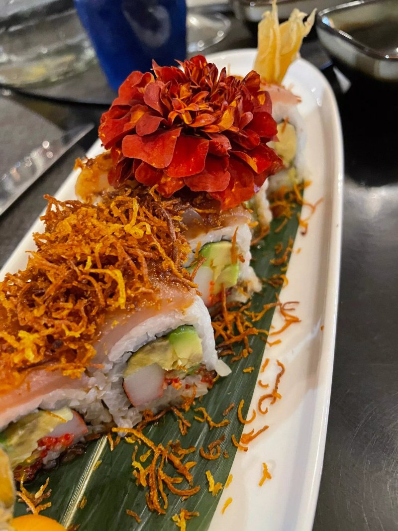 Aloisi Sushi Gourmet SBT