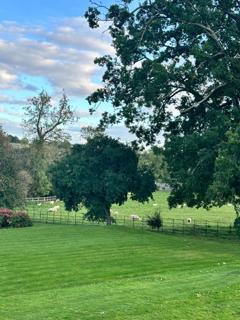 Lordington Park