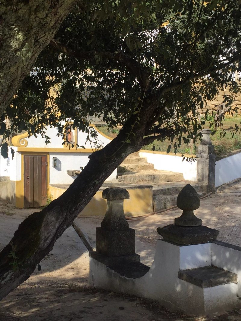 Quinta do Brejo