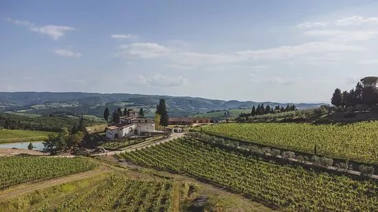 Tenuta Casenuove Winery
