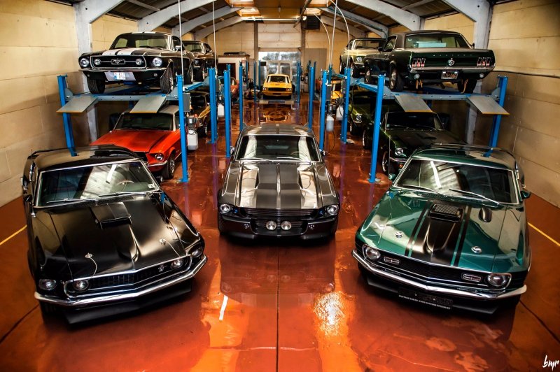 Mustang And Co
