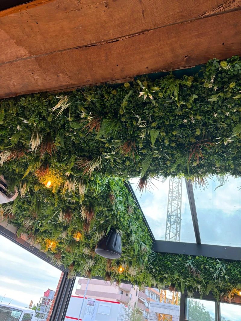 Georgitta Trattoria