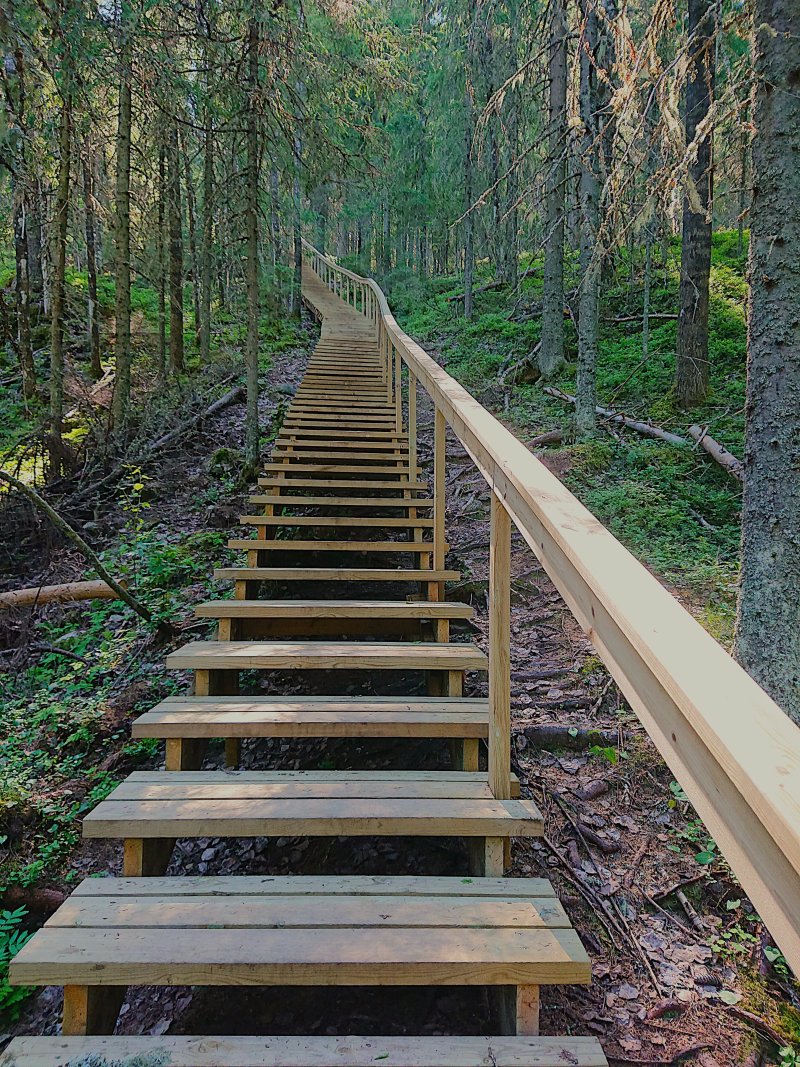 Vanuvuori Nature Trail And Observation Tower