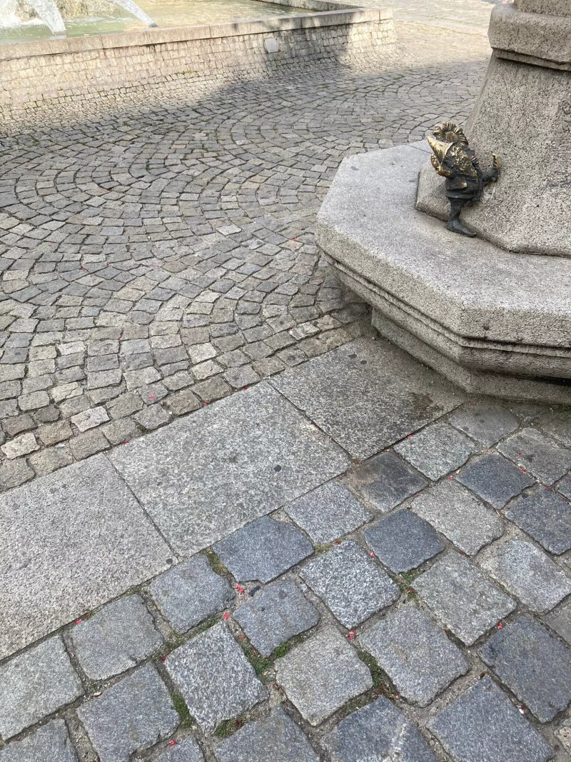 Zwerk Der Guten Frau
