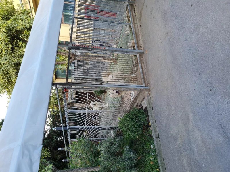 Capodichino International Hotel