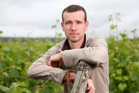 La Chevallerie - Gaetan BRUNEAU wines
