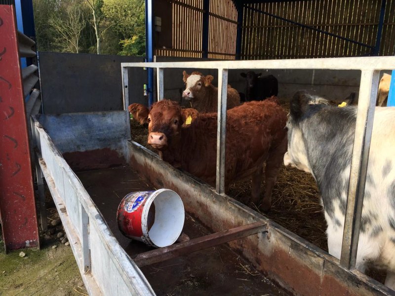 Woodhouse Farm Bed and Breakfast
