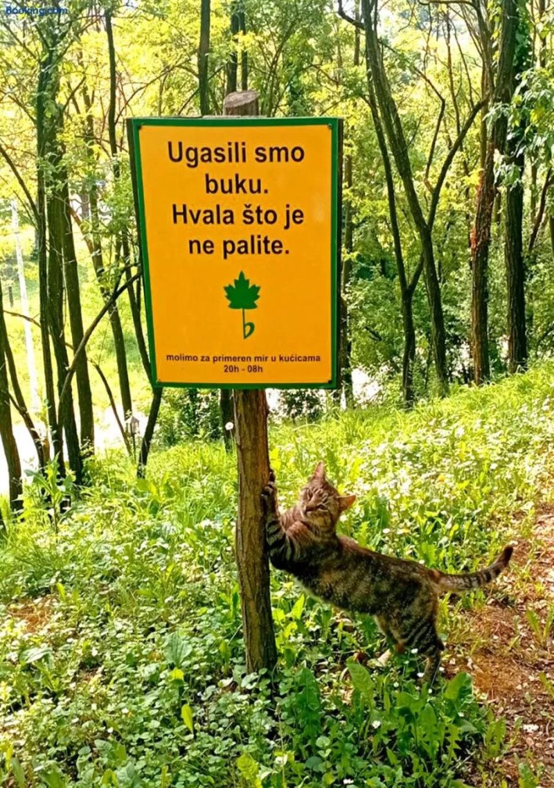 Ranc Platan Fruska Gora