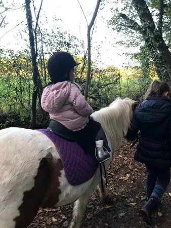 Ruislip Park Stables