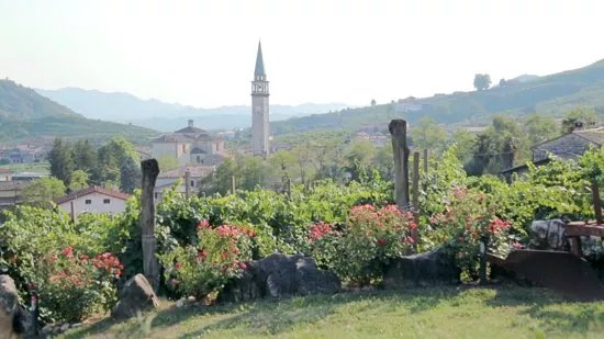 Canello azienda agricola