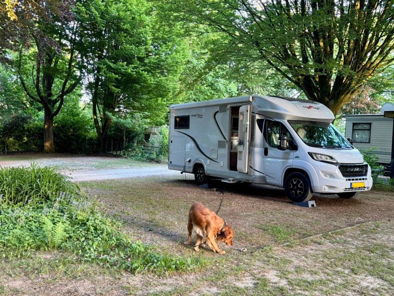 Camping Bergendal