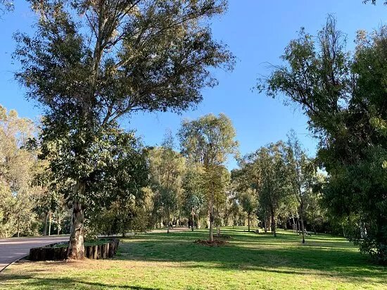 Parco degli Eucalipti