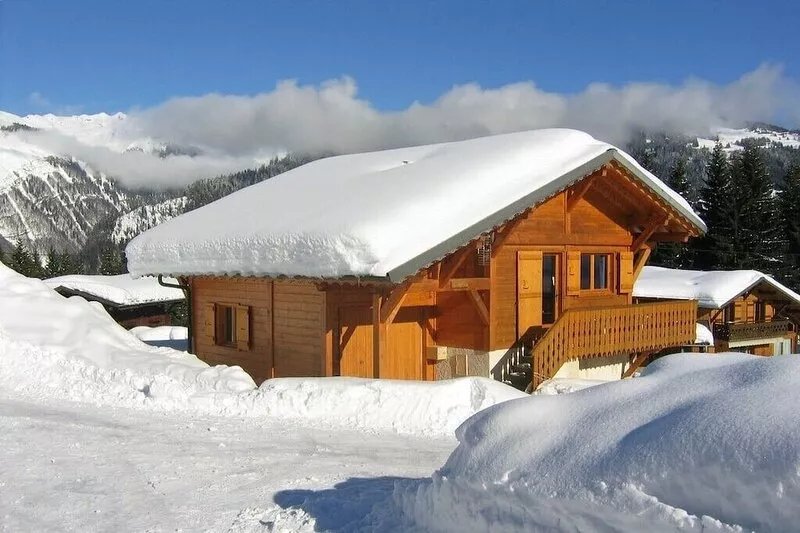 Ski in/Ski out detached 2 bedroom chalet