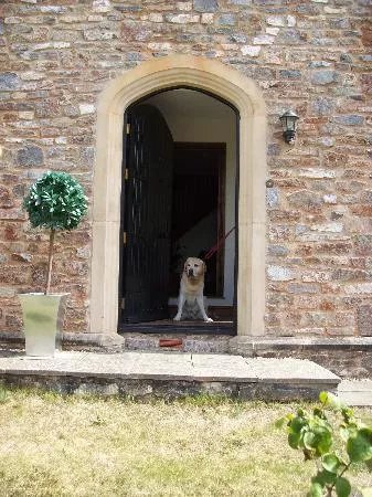 Harold's House B&B