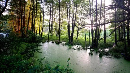 Niebieskie Zrodla Nature Reserve