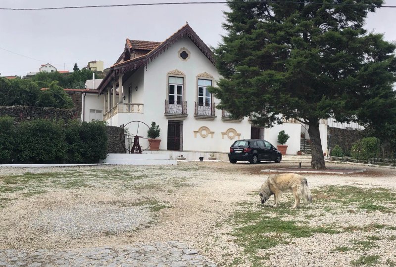 Casa do Pinhal