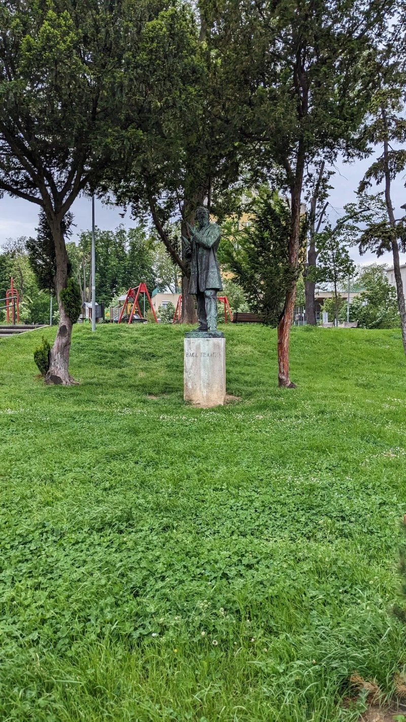 Monument Of Vasa Pelagic