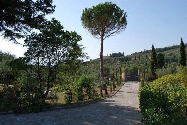 B&b Ulivi di Castello