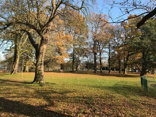 Oxhey Park