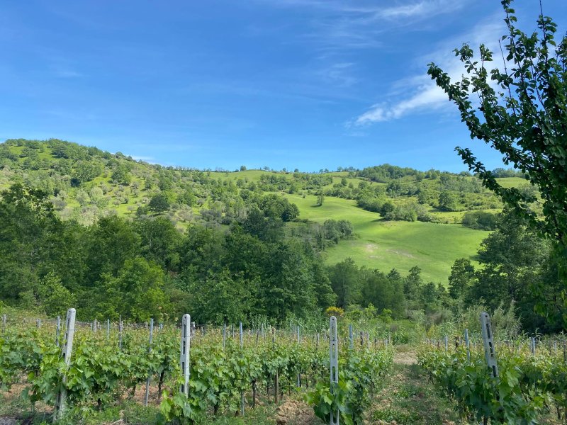 Country House La Contadina