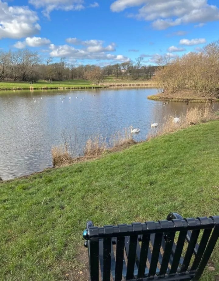 Ardeer Quarry Local Nature Reserve
