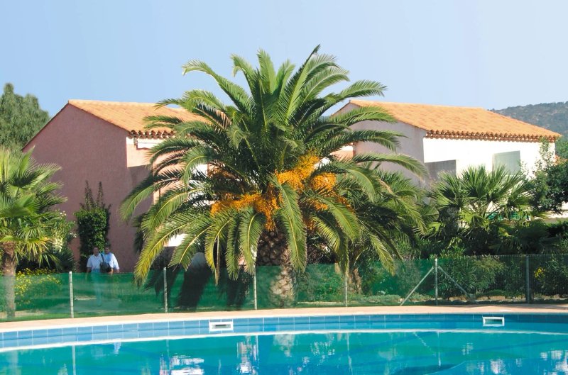 Lagrange Vacances - Le Domaine d'Azur et Tahiti Park